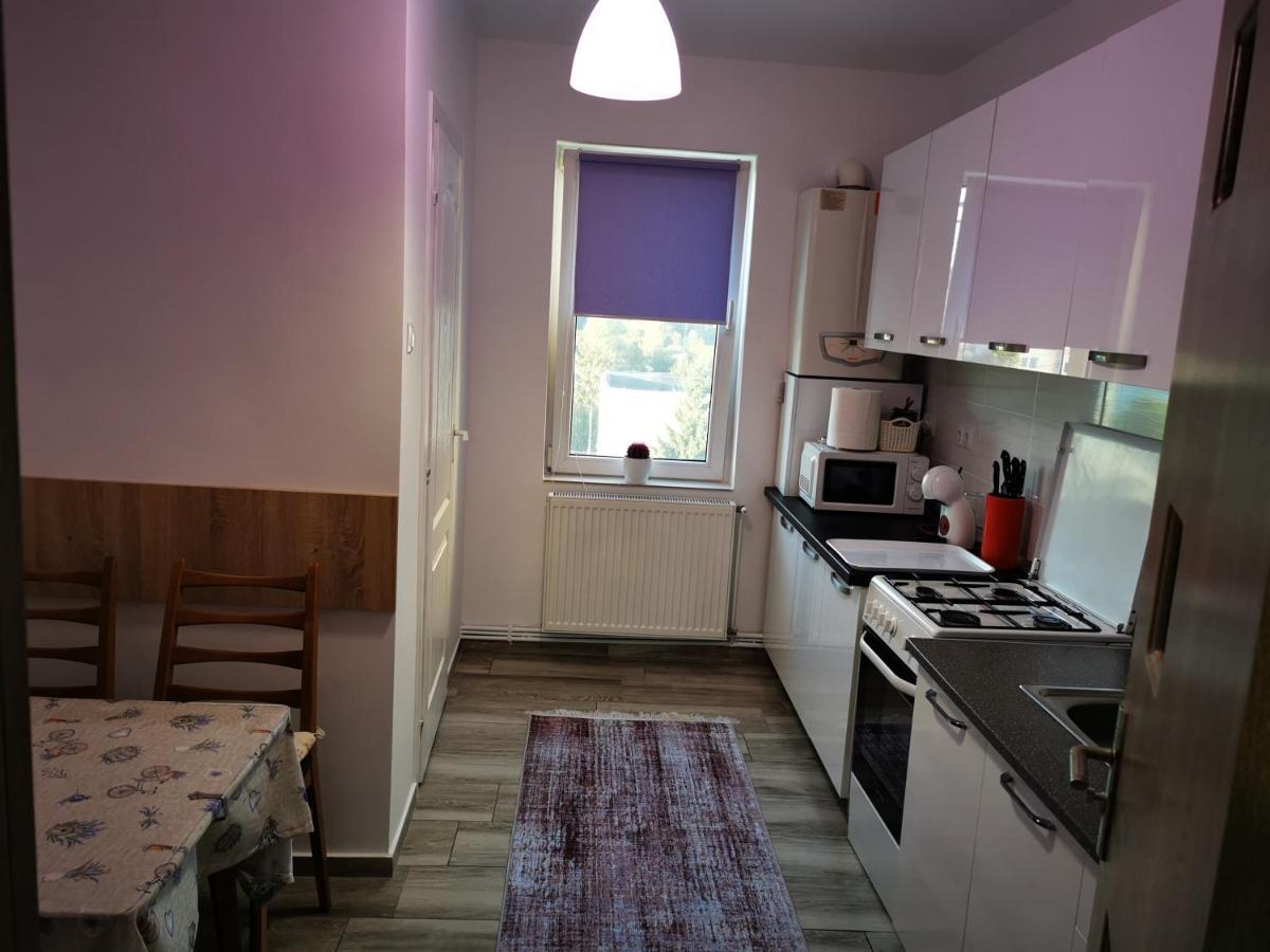 Violet Residence Targu Mures Luaran gambar